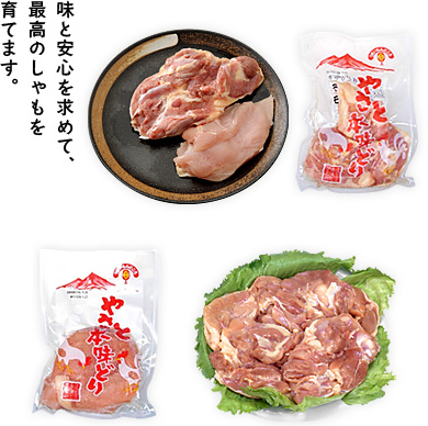 味と安心を求めて、最高のしゃもを育てます。