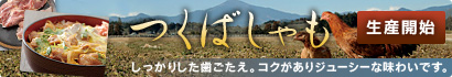 つくばしゃも販売開始　しっかりした歯ごたえ。コクがありジューシーな味わいです。