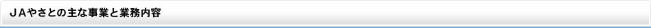 JAやさとの主な事業と業務内容