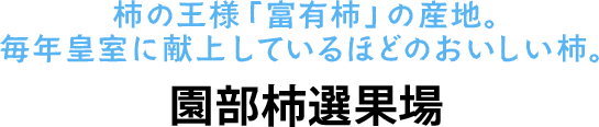 柿の王様「富有柿」の産地。毎年皇室に献上しているほどのおいしい柿。　園部柿選果場