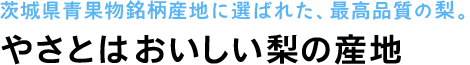 茨城県青果物銘柄産地に選ばれた、最高品質の梨　やさとはおいしい梨の産地