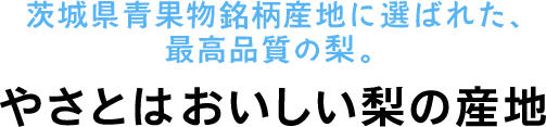 茨城県青果物銘柄産地に選ばれた、最高品質の梨　やさとはおいしい梨の産地