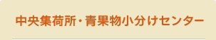 中央集荷所・青果物小分けセンター