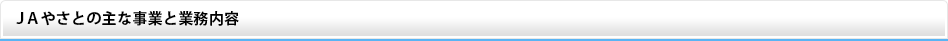JAやさとの主な事業と業務内容