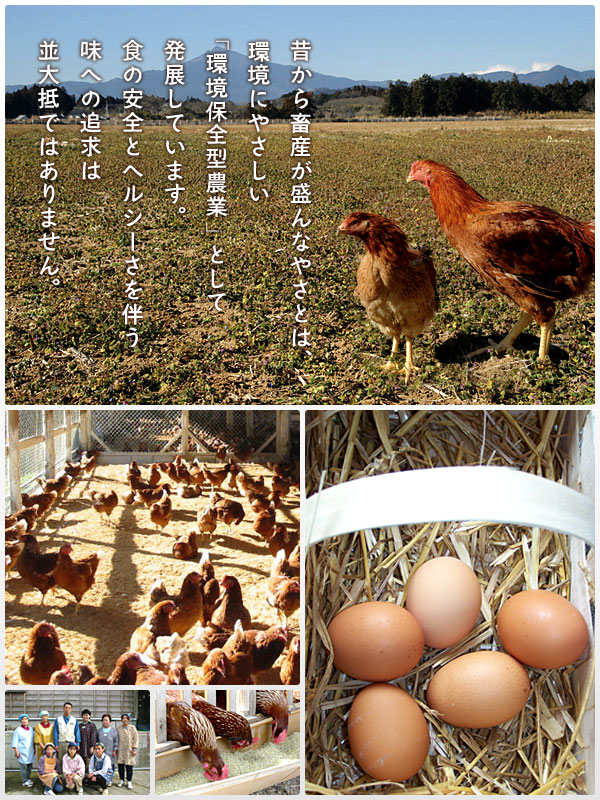 JAやさと [やさと農業協同組合]