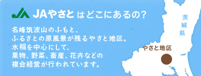 JAやさとはどこにあるの？　名峰筑波山のふもと、ふるさとの原風景が残るやさと地区。水稲を中心にして、果物、野菜、畜産、花卉などの複合経営が行われています。