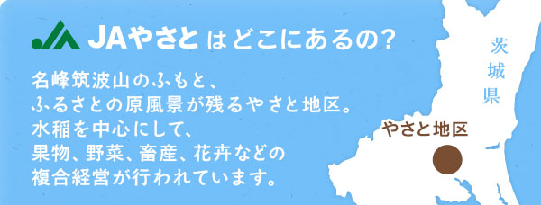 JAやさとはどこにあるの？　名峰筑波山のふもと、ふるさとの原風景が残るやさと地区。水稲を中心にして、果物、野菜、畜産、花卉などの複合経営が行われています。