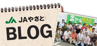 JAやさとblog